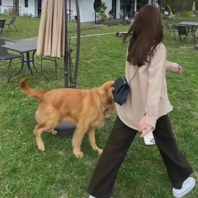 拉美异灵
