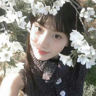 芝加哥警署第八季